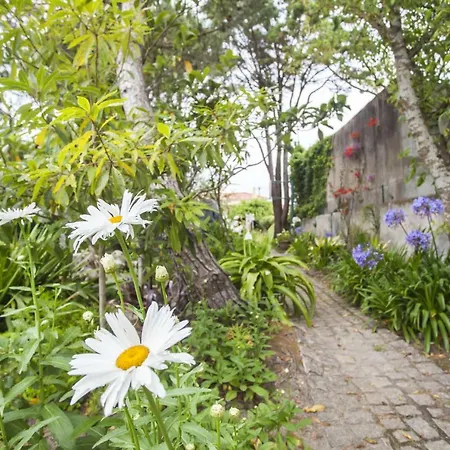 Beautiful Country House&romantic Garden 신트라