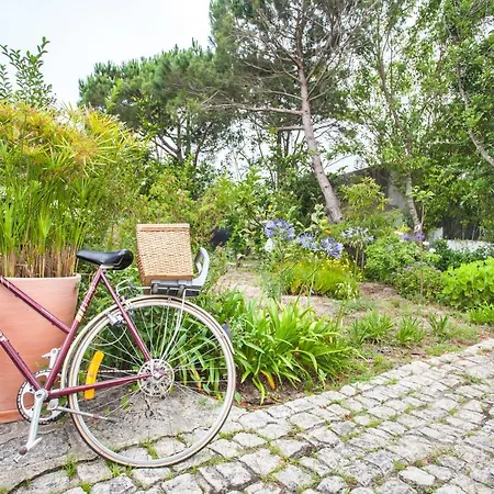 Beautiful Country House&romantic Garden *